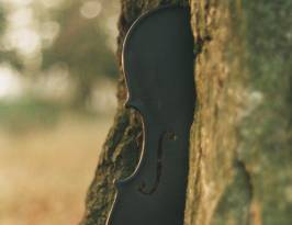 The violin and a tree; Installation